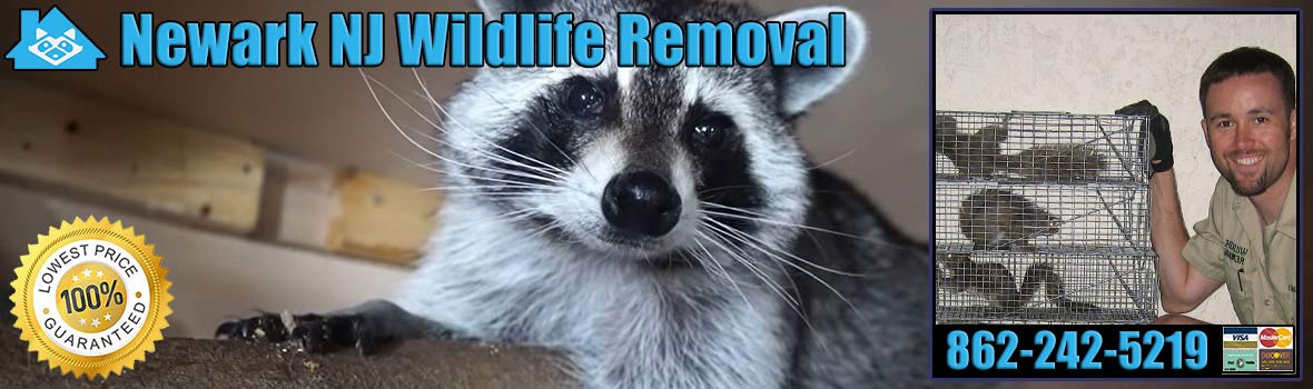 Essex Fells Pest Animal