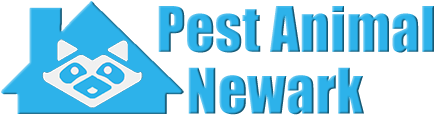 Newark Wildlife and Animal Removal